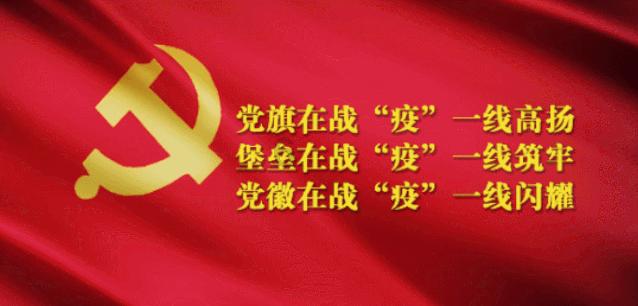刚买的多肉怎么养游戏画面